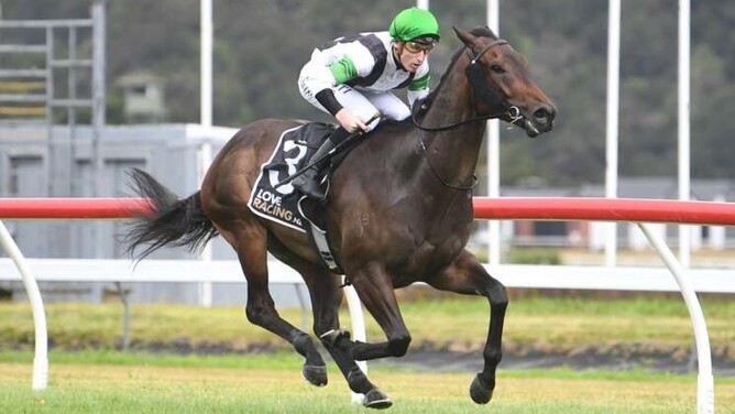 Witz End will contest the Gr.2 Life Direct Wellington Guineas (1400m) at Trentham on Saturday. - Photo: Peter Rubery (Race Images Palmerston North)