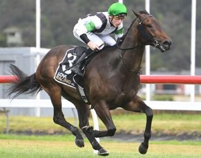 Trentham track to favour Witz End