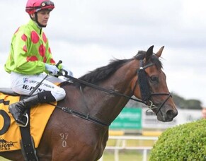 Investigate a genuine Championship contender