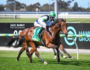 Tutukaka bound for Singapore