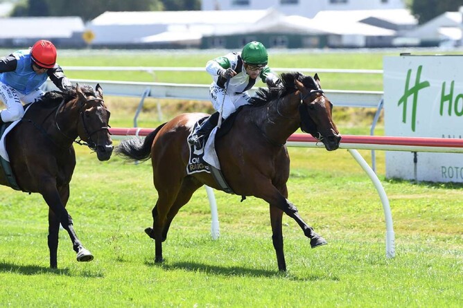 Roederer winning at Arawa Park on Thursday. - Photo: Race Images