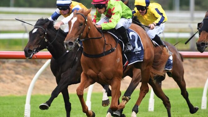 Impendabelle will contest the Gr.3 Inglis Sales Cambridge Breeders’ Stakes (1200m) at Te Rapa on Saturday. - Photo: Kenton Wright (Race Images)