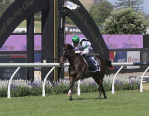 Pike duo on song for Wairoa Cup