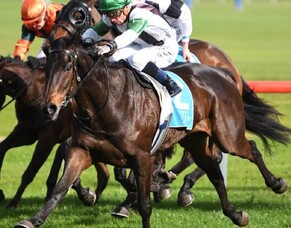 Elemental scores impressive debut win