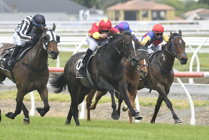 Providenceprovides (middle) fights back bravely to defeat Belclare (outer) at Awapuni - Photo: Race Images – Peter Rubery