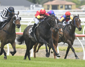 Providenceprovides on target for Riccarton feature