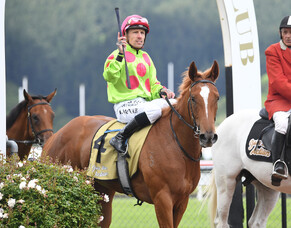 Impendabelle proves too tough at Trentham