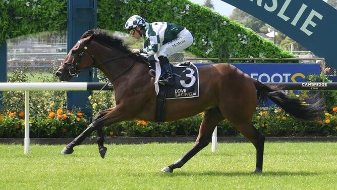 Talented gelding Hat Trick producing his second-straight victory in the MAAT 1400m at Ellerslie on Saturday. - Photo: Kenton Wright (Race Images)