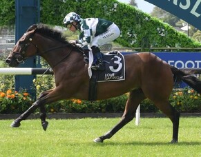 Hat Trick bowls them over at Ellerslie