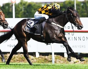 Thooza shines on debut at Te Rapa