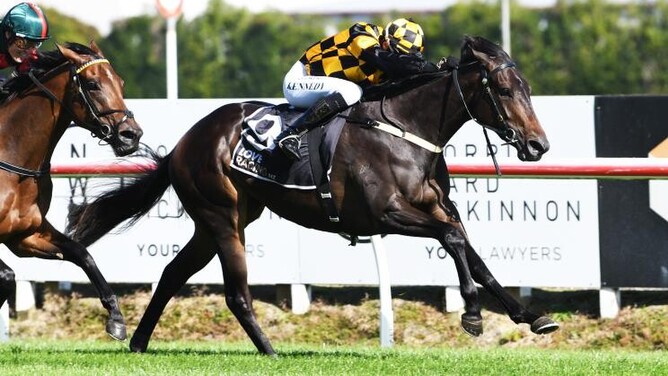 Thooza digs deep under Warren Kennedy to score on debut in the Cambridge Raceway 2YO (1200m) on Saturday at Te Rapa. - Photo: Kenton Wright (Race Images)