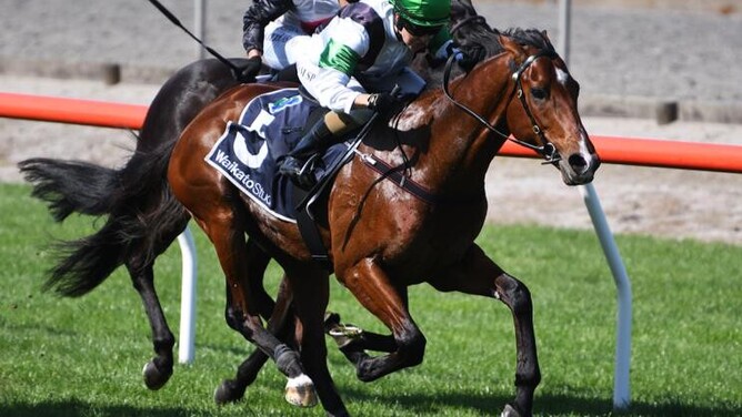 Cannon Hill winning at Matamata on Wednesday. - Photo: Kenton Wright (Race Images)