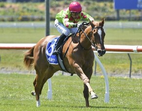 Te Rapa best option for smart filly Impendabelle