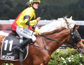 Pike dominates early stakes races at Trentham