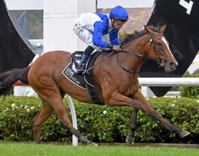 McNab claims another Wellesley on classy Pike filly