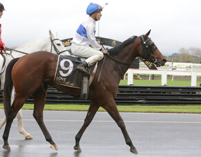 Cheval D&rsquo;Or takes out three-year-old feature at Pukekohe