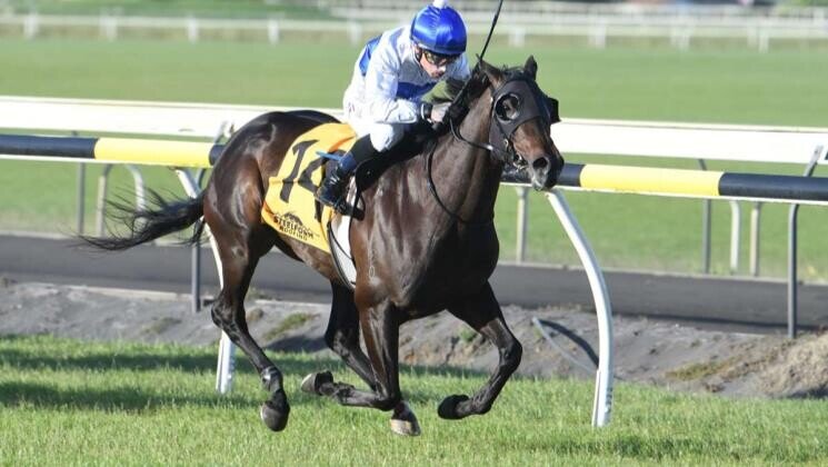 Jared Pike Racing Pike fillies ready to rock in Lowland | Pike Racing