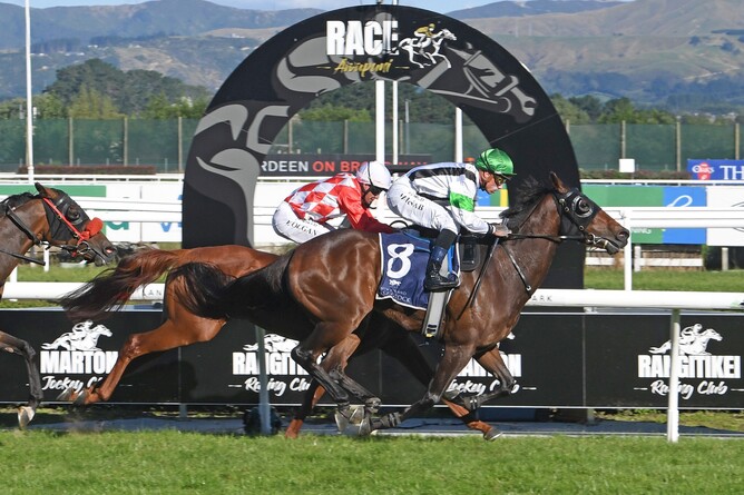 Gr.2 Little Avondale Lowland Stakes (2100m) winner Val Di Zoldo.  - Photo: Race Images
