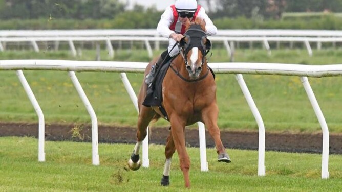 Poetic Champion surges home to provide young sire Super Seth with his first winner.   - Photo: Peter Rubery (Race Images Palmerston North)
