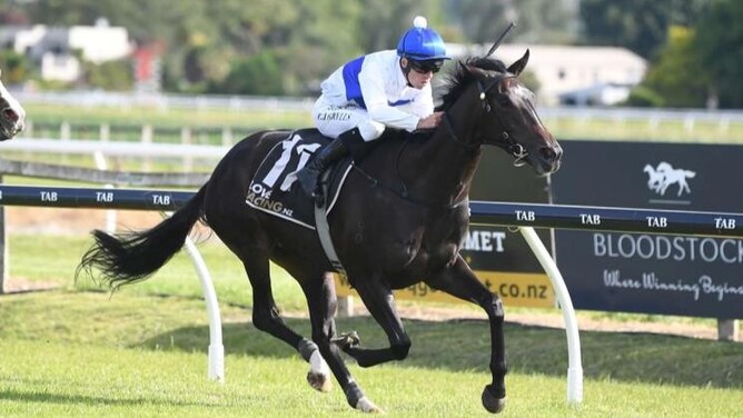Vera Rose winning at Hastings in December.   - Photo: Peter Rubery (Race Images Palmerston North)