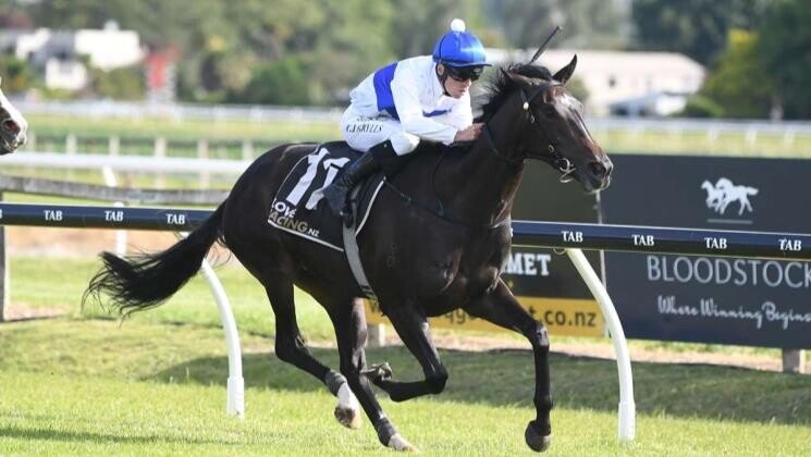 Jared Pike Racing Pike fillies show class in Te Rapa features | Pike Racing