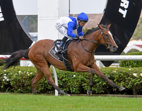 Young stablemates in fine fettle for features