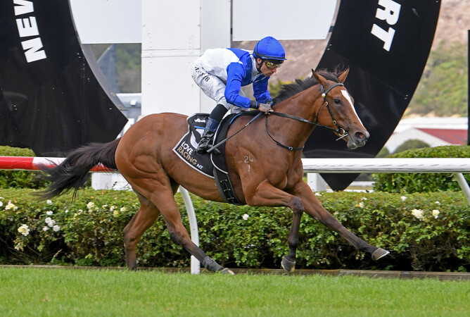 Archaic Smile will contest the Gr.2 J Swap Contractors Ltd Matamata Breeders’ Stakes (1200m) on Saturday.  - Photo: Peter Rubery (Race Images Palmerston North)