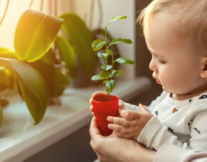 How to find the best ECE centre in Auckland