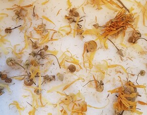 Why do we use organic herbs?