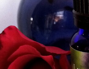 Whitbourne Lavender