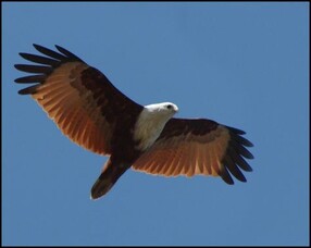 WHY has a Health4You Award