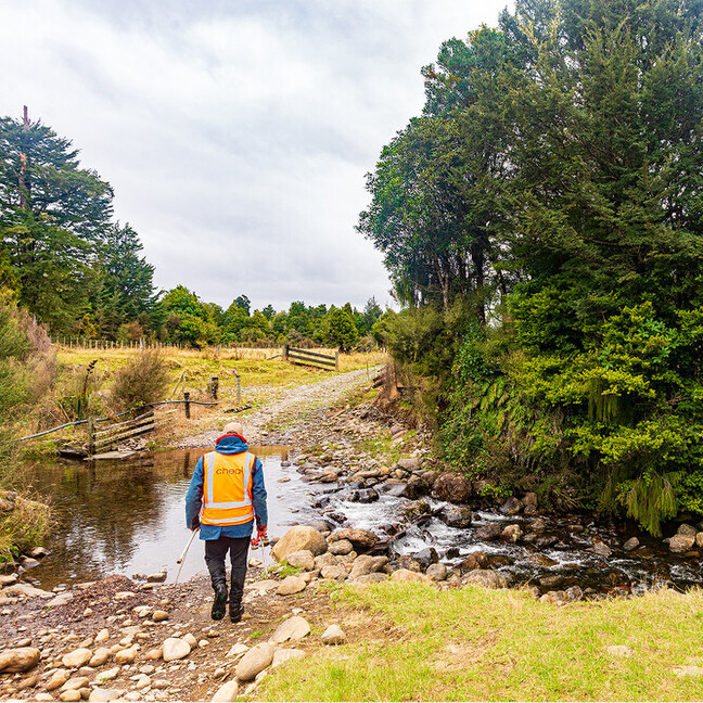 Bridges & Boardwalks