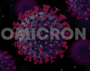 Oh My Omicron!