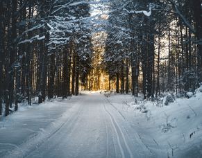 Newsletter - June 2021