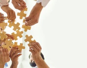 Change Management and Outplacement Support