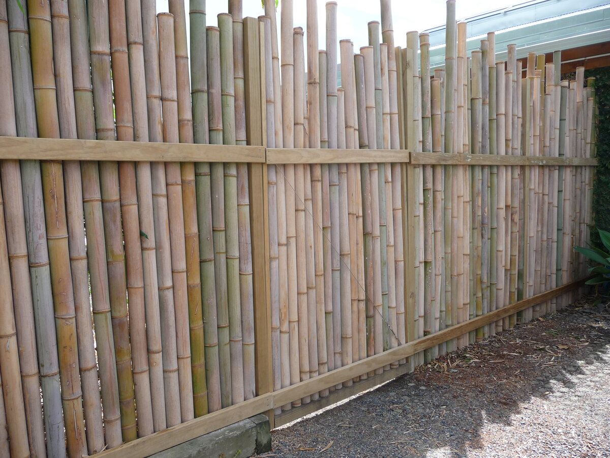 Bamboo fencing | Bamboo screens | New Zealand | Bambusero