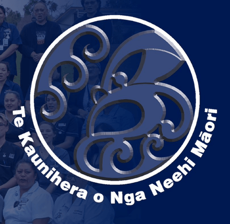 Te Kaunihera o Ngā Neehi Māori National Council of Māori Nurses | Pockety