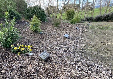 Ōtaki natural burial cemetery - Click for more information
