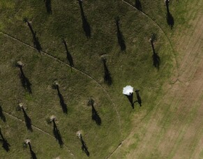 Criselda and Wilbert's romantic island wedding at Mudbrick Vineyard | Indigo Waiheke