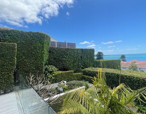 Only 26 Working Days to Go! Spruce Up Your Yard Before Christmas! 🎄🌞