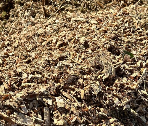 Pile of fresh mulch from DS Trees