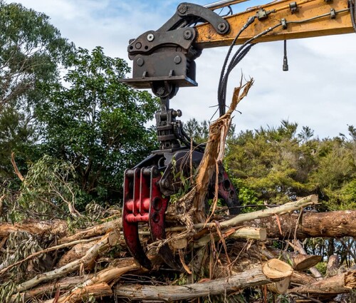 Large branches being cleared