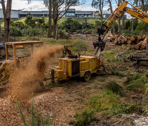 DS Trees equipment mulching trees into chip