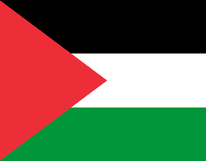 Statement on the conflict in occupied Palestine