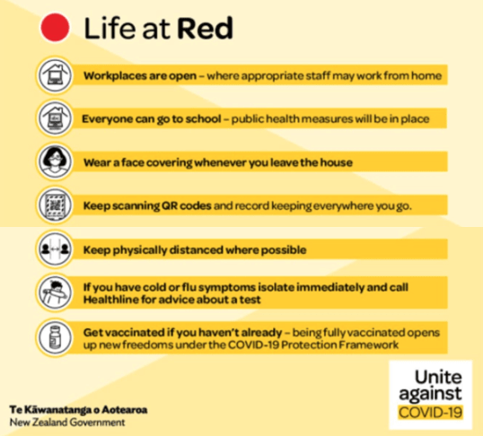 the-red-traffic-light-guidelines-berrys-pharmacy