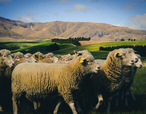 Broadcast your location, spot spraying, and improved tasks