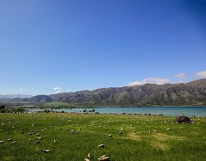 What you need to know about freshwater farm plans