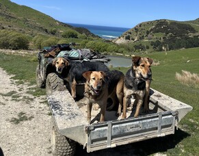 New FarmIQ features combine new tech and old-school farm management