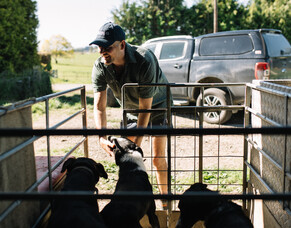 Every dog has its day in FarmIQ