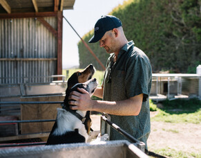 Out on the farm: Summer 23 - 24